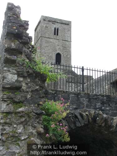 Sligo Abbey